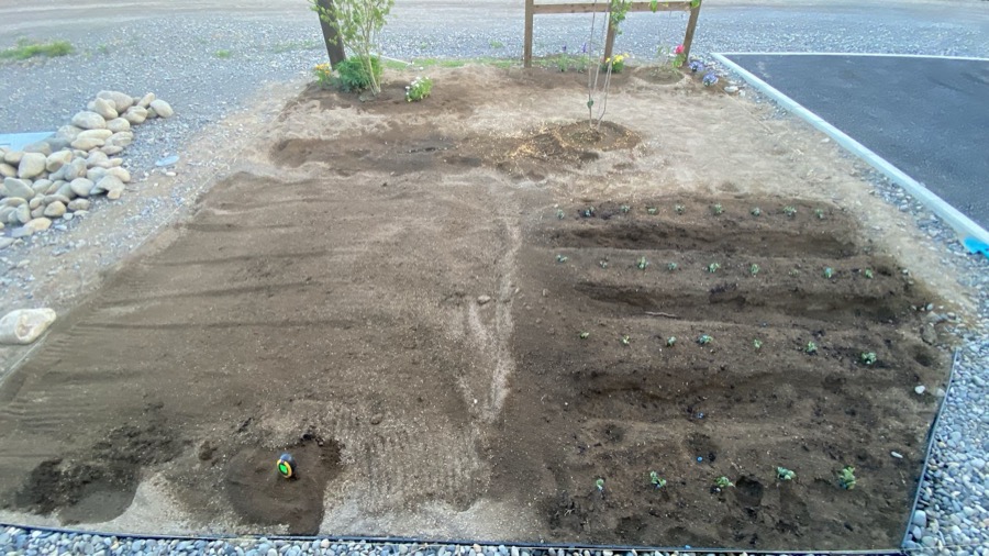 家の前の畑＆花壇、ついに完成