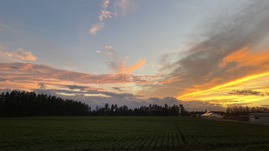 オレンジ色に染まる夕焼け