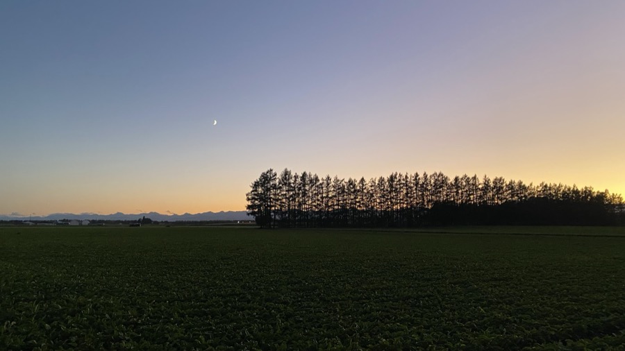 夕暮れ
