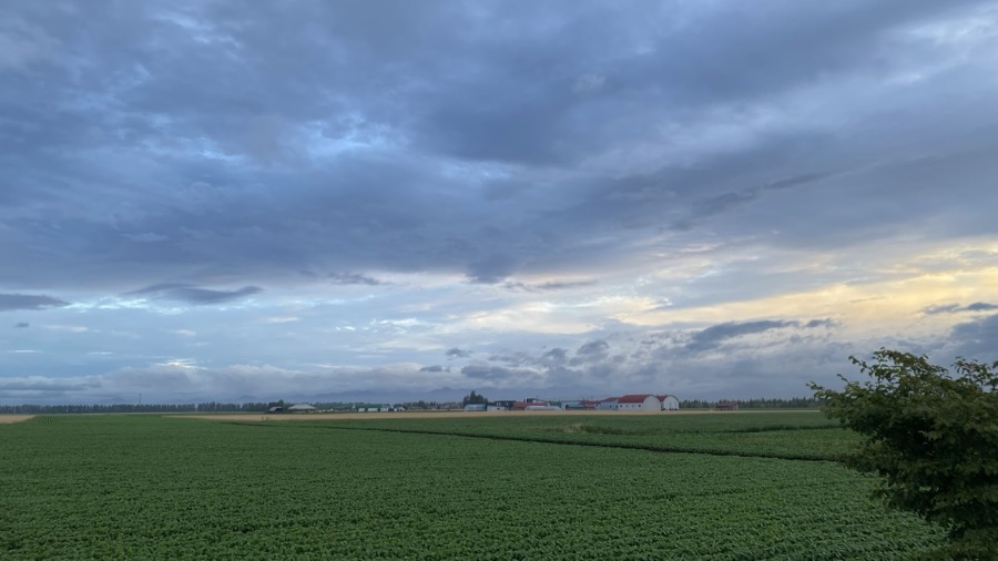 雨上がりの夕暮れ