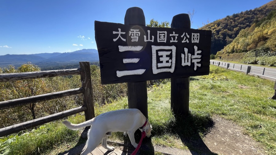 三国峠の紅葉
