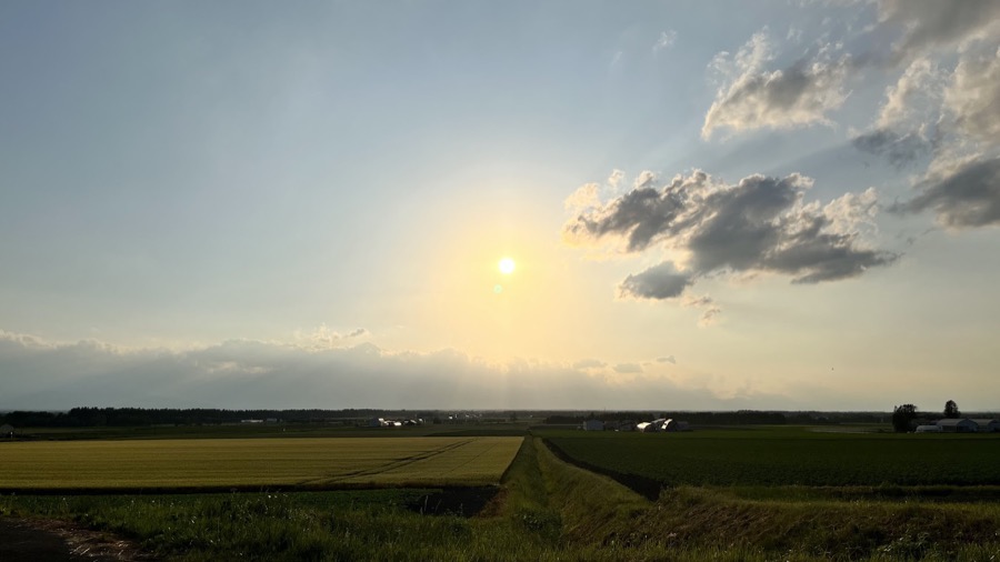 夕暮れ