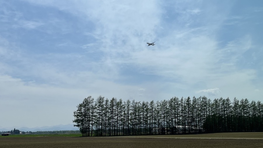 飛行機