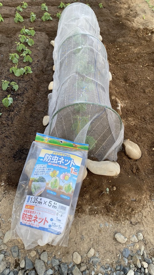 防虫ネット