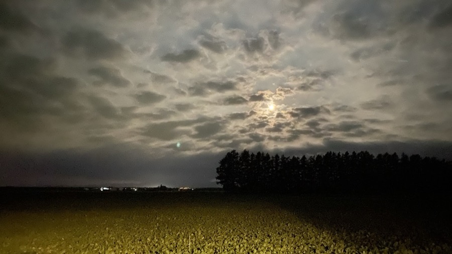 宵の夜空