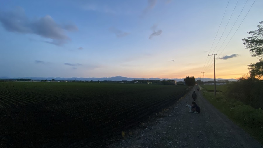 夕暮れ