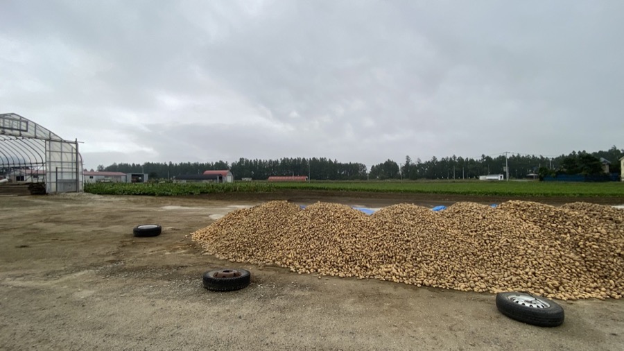 ジャガイモの山